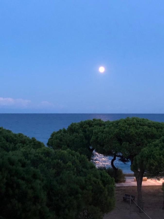 Apartment Direkt Am Strand Blanes Zewnętrze zdjęcie